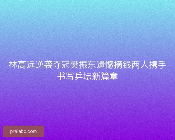 林高远逆袭夺冠樊振东遗憾摘银两人携手书写乒坛新篇章