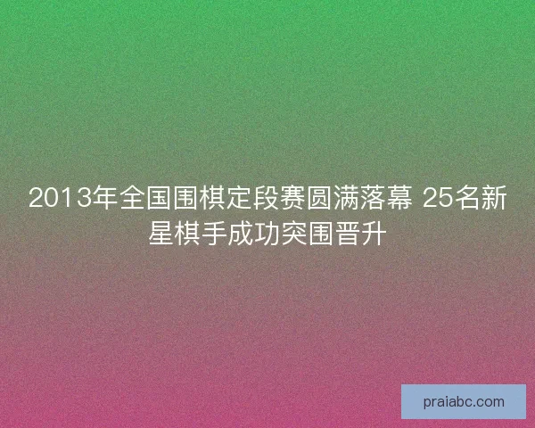 2013年全国围棋定段赛圆满落幕 25名新星棋手成功突围晋升