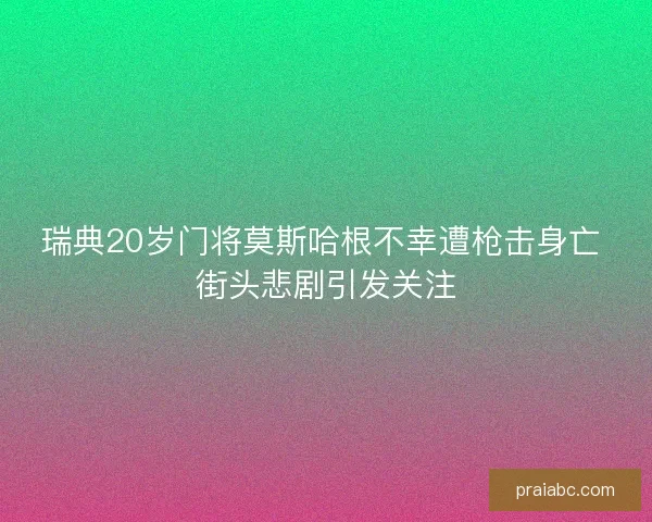 瑞典20岁门将莫斯哈根不幸遭枪击身亡 街头悲剧引发关注