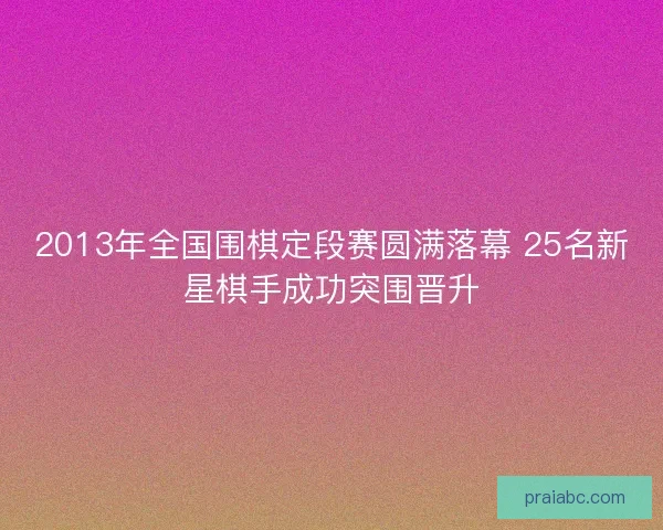 2013年全国围棋定段赛圆满落幕 25名新星棋手成功突围晋升 2013年全国围棋定段赛圆满落幕 25名新星棋手成功突围晋升