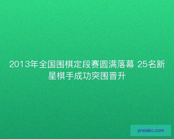 2013年全国围棋定段赛圆满落幕 25名新星棋手成功突围晋升
